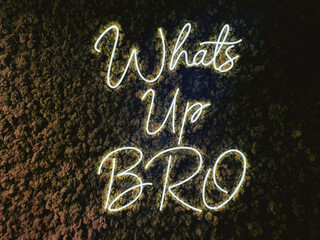Whats up bro neon text decoration in a wall © JK2507