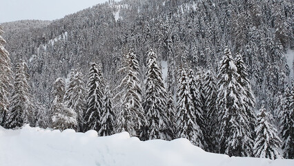 Romantischer Wald im Schnee