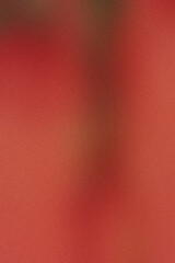 A texture background with a gradient of red hues, grainy background noise effect backdrop template design