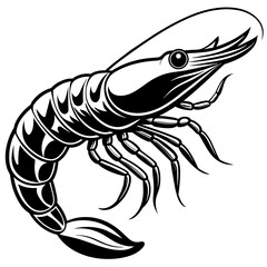 shrimp vector illustration