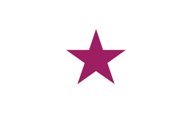 Star vector icon logo