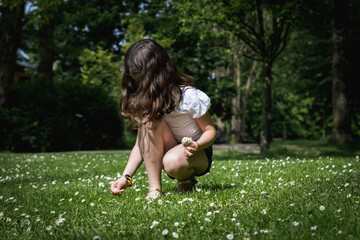 Portrait of a girl picking daisies in the park on a summer day.