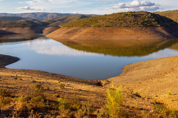 an empty swamp due to drought caused by climate change
