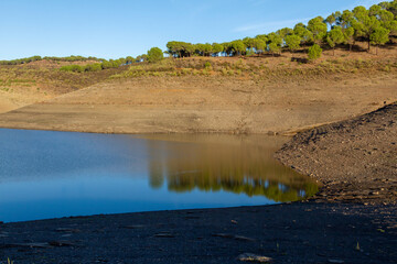 an empty swamp due to drought caused by climate change
