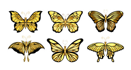The collection of six golden butterflies isolated on a white background. 