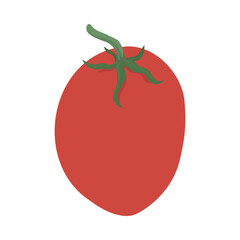 Roma Tomato (Plum Tomato) isolated