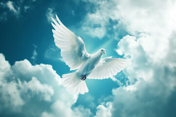 A white dove flying in the sky