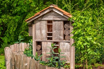 Fototapeta na wymiar One wooden insect house in the garden. Bug hotel at the park with plants.