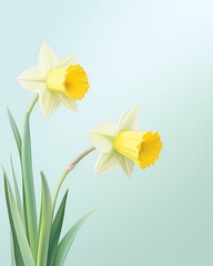 Daffodil , Sunny daffodils on a vibrant green field