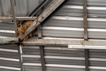 cluttered grass of the sparrow's nest In the niche of the steel structure of the roof