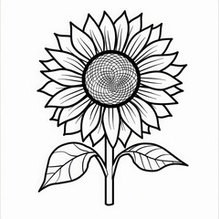 coloring pages or books for children, Cute and funny coloring page, simple cartoon illustration, outline picture for coloring kid book, illustration of sunflower