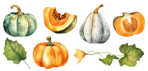 Autumn big set with orange watercolor Pumpkins and fall yellow Leaves on white isolated background. Red berry of ashberry and physalis branches. Hand drawn vector illustration - obrazy, fototapety, plakaty