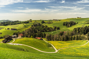 Hilly landscape in the Appenzellerland with farm houses and dandelion meadows in spring, Canton of Appenzell Innerrhoden, Switzerland - obrazy, fototapety, plakaty