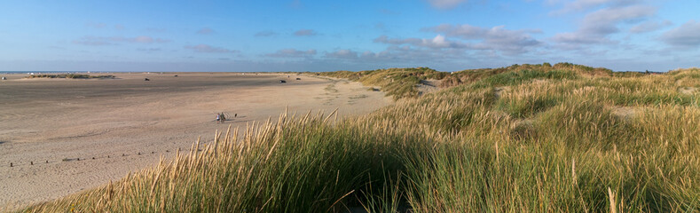 Panoramic view to the broad sandy beach with sand dunes and marram grass by the North Sea, Lakolk beach, Rm island, Denmark 