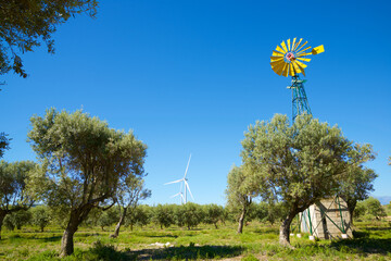 Traditional windmill in an olive grove in Zaragoza Province, Aragon in Spain.