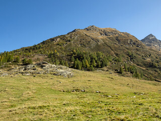 Blick auf die herbstliche Landschaft im Passeiertal bei Pfelders im Naturpark Texelgruppe, Südtirol, Italien - 794051056
