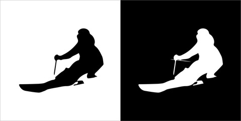 Illustration vector graphic of ski icon