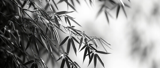 A black and white photo of a tree with leaves