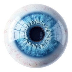 Blue human eye ball isolated on transparent background
