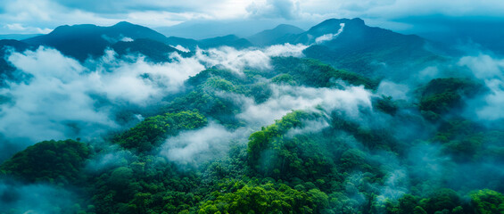 Misty mountain landscape with lush greenery and clouds