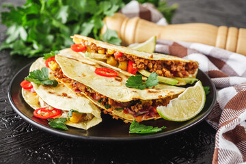 set of delicious fresh colorful quesadilla on a dark background