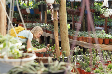 Woman take picture of flowers and cactus in pots for sale at outdoor market. - Powered by Adobe