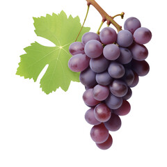 Fototapeta premium Grapes Isolated on Transparent Background 