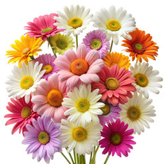 Colorful bouquet of fresh spring daisies on display