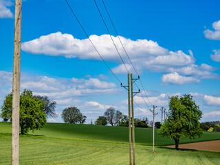 Strommasten im Wald und Feld