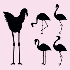 flamingo silhouette collection. Flat design. Vector illustration