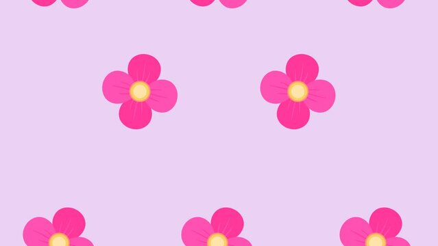 4K video Footage with pink flowers pattern. Footage flower pattern. Flowers spinning and falling down. 4k video animated with beautiful flower 