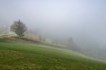 Foggy landscape in the early morning. Green mountains covered with thick fog