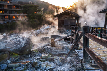 tabby cat on rock of mount Unzen Hell valley at sunset, Nagasaki