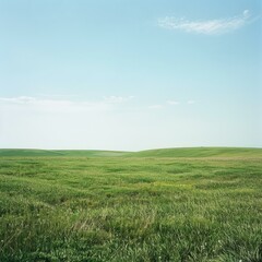 Fototapeta premium b'Green rolling hills under blue sky'