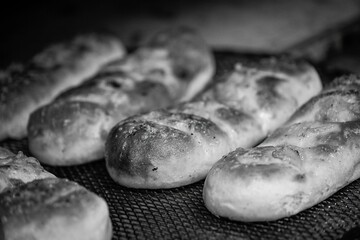 High resolution close up images of a fresh and delicious garlic bread- Israel - Powered by Adobe