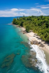 b'Aerial view of a tropical beach with palm trees and turquoise water'