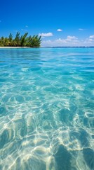 b'Crystal clear water of a tropical beach with palm trees in the background'