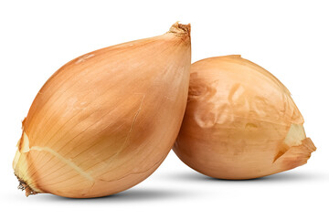 Two large heads of onions isolated on a transparent background.