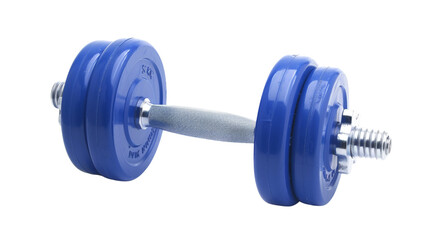 Naklejka premium Blue dumbbell weights