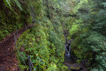 Waterfall next by the trail in Madeira, Portugal
