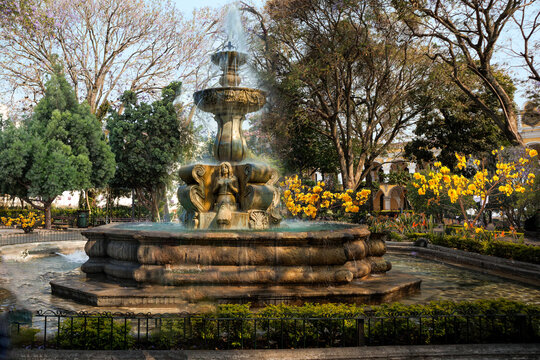 Park water fountain surrounded by trees and flowers.