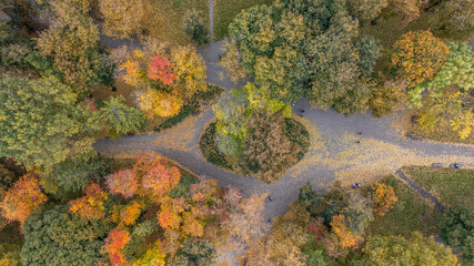 A colorful autumn