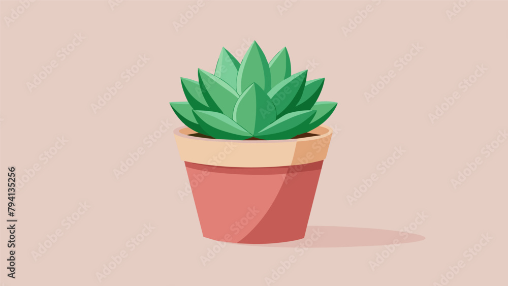 Poster a potted succulent plant adding greenery to any space without the need for constant watering.