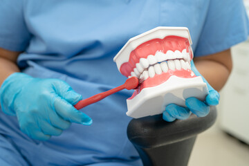 Asian dentist cleaning teeth of dental model with tooth brush for patient and studying about...