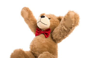 teddy bear on white background