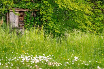 One wooden insect house in the garden. Bug hotel at the park with plants.