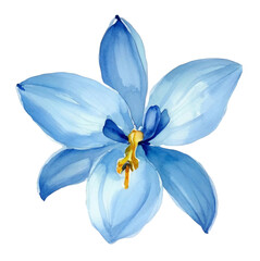 Generative illustration of isolated beautiful blue flower