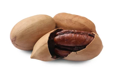Zelfklevend Fotobehang Three tasty pecan nuts isolated on white © New Africa