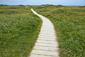 Hiking track to the beach Orrestranda at the scenic route Jaeren in Norway, Europe
