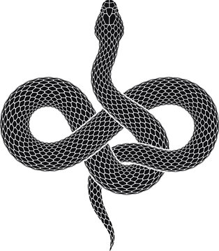 recommend clip art: Vector illustration of snake intertwined in shape of infinity sign. Isolated tattoo design of black serpent silhouette of endess symbol.